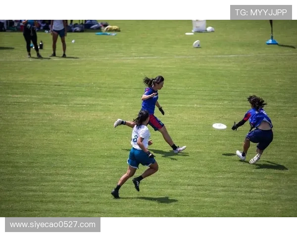 深圳飞盘队在飞盘节奏排名中创下新高引领全国飞盘运动新风潮