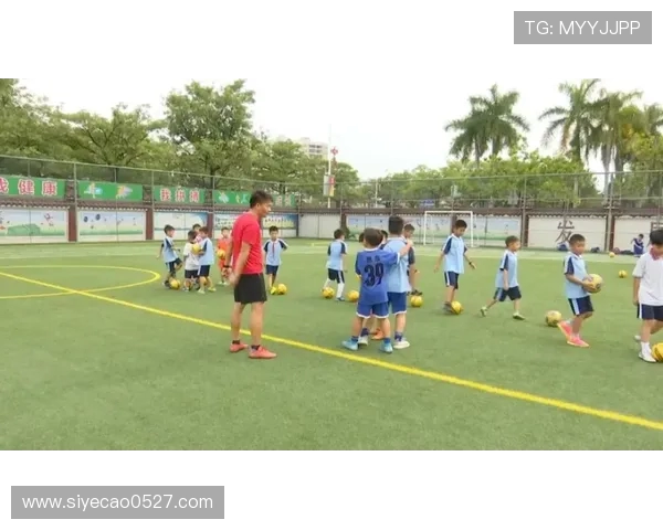 达尼洛在足球场上的成长之路与未来发展潜力分析