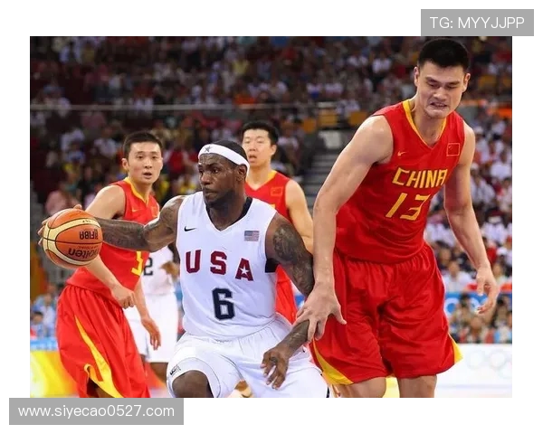 对话张磊：回顾篮球生涯的荣耀与挑战分享