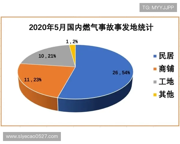 数据分析：探讨液化天然气行业从业者的心理素质与职业表现关系